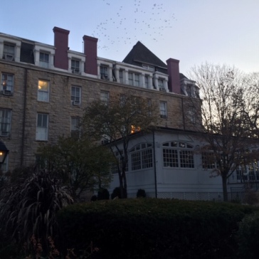 A flock of birds over the 1886 Crescent Hotel, Eureka Springs.